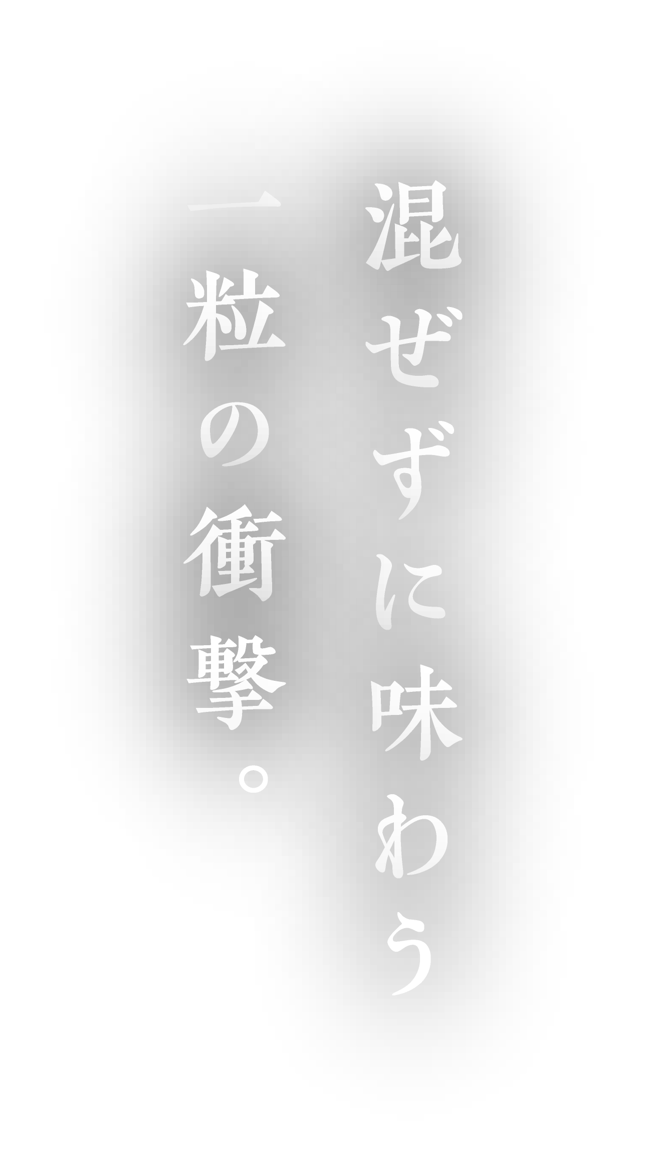 縦組テキスト1